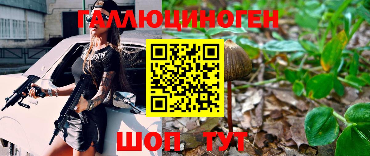 наркотики  Псилоцибиновые грибы ЛСД  Вход с VPN  Скопин 