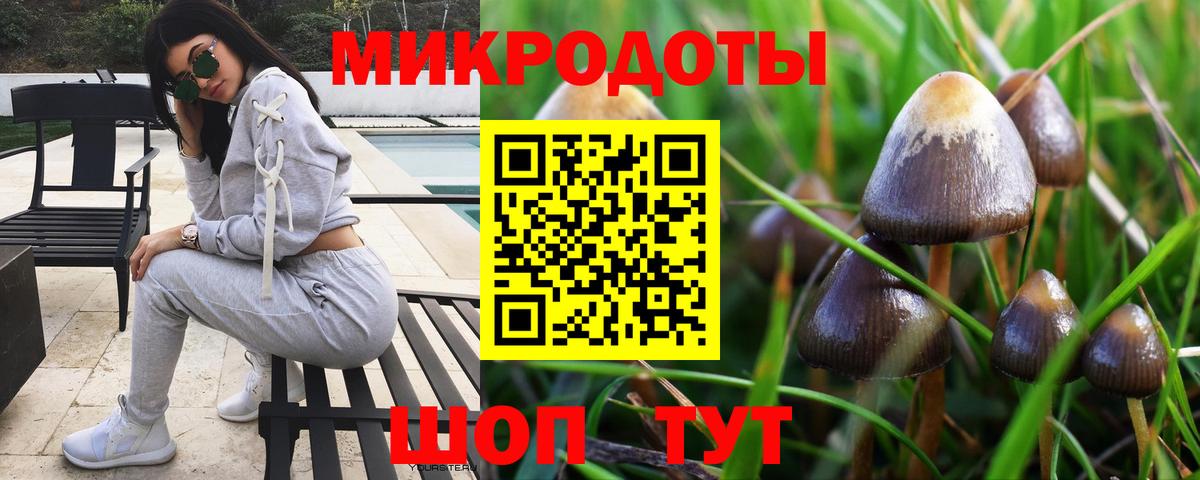 Псилоцибиновые грибы Cubensis Скопин